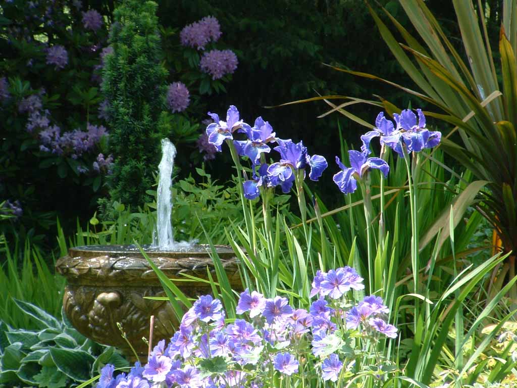 Cottage Garden